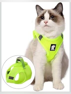 Amazon Neon Green Reflective Cat Harness - Size Medium